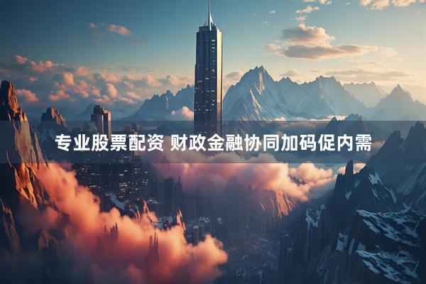 专业股票配资 财政金融协同加码促内需
