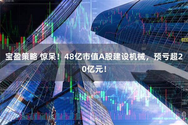 宝盈策略 惊呆！48亿市值A股建设机械，预亏超20亿元！